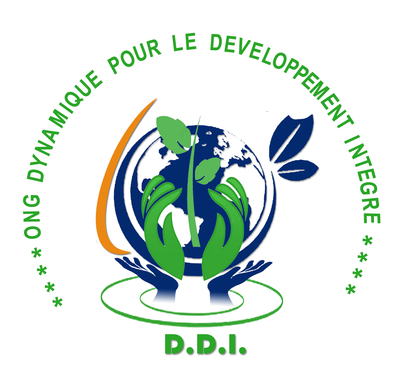 Logo ONG DDI